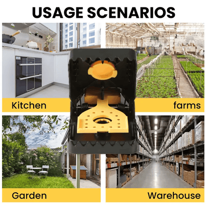 🔥Last Day 49% OFF 🔥Clips Mouse Glue Traps Mouse Rat Deterrent