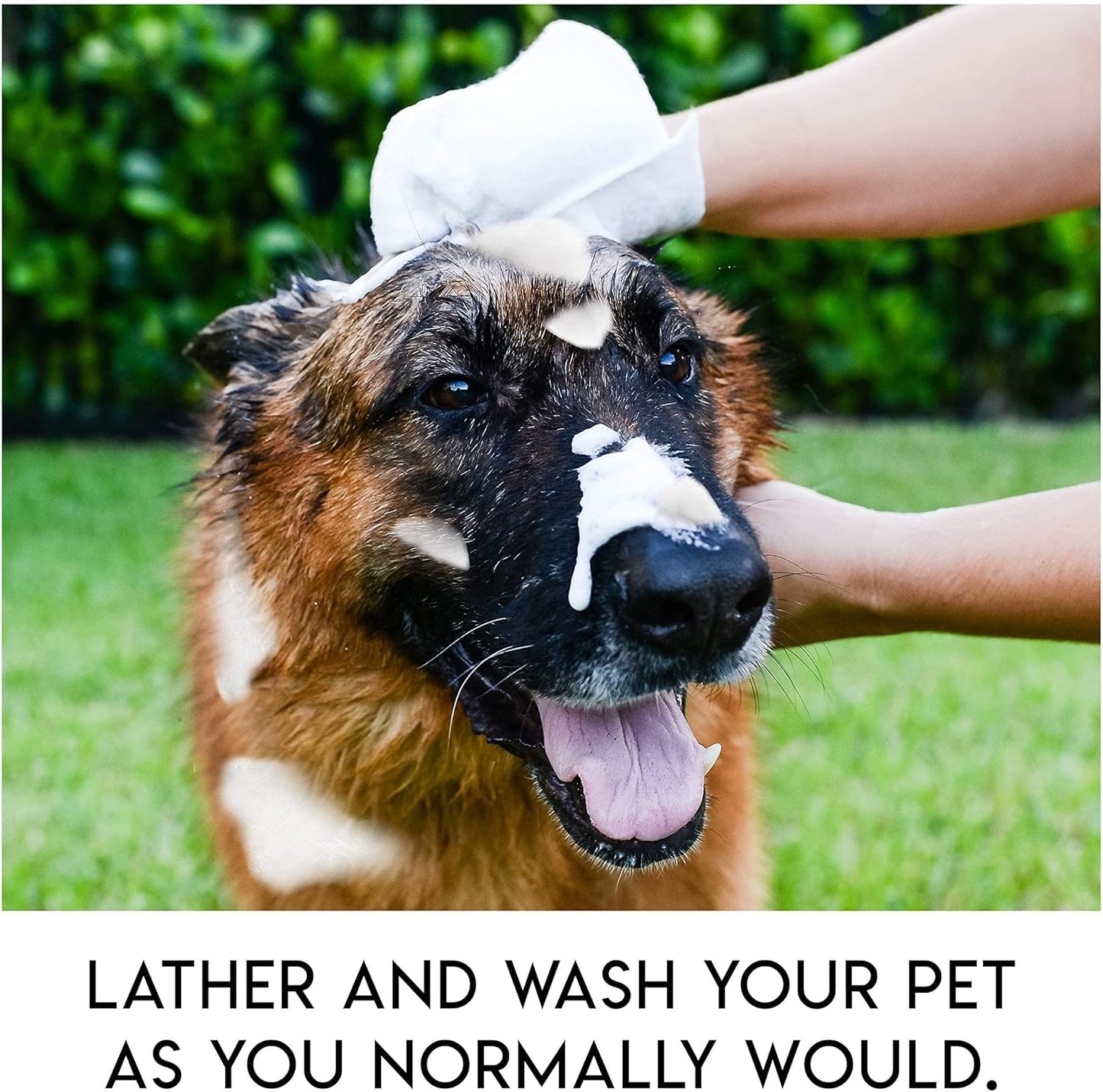 🔥Rinse-Free Dog Shampoo Mitts – Hypoallergenic Pet Bath Wipes, 6 Packs